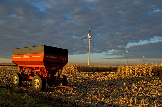 corn and wind turbine