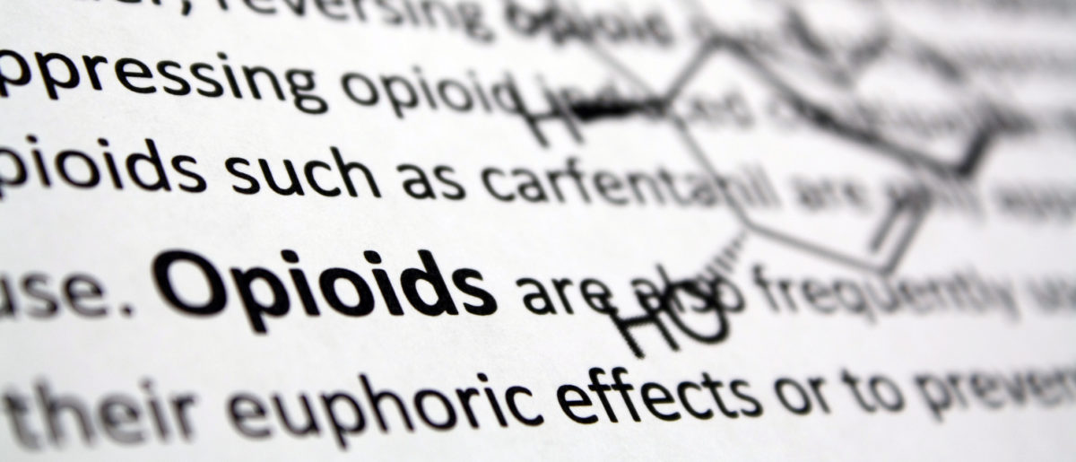 Close-up of word "opioids" in text