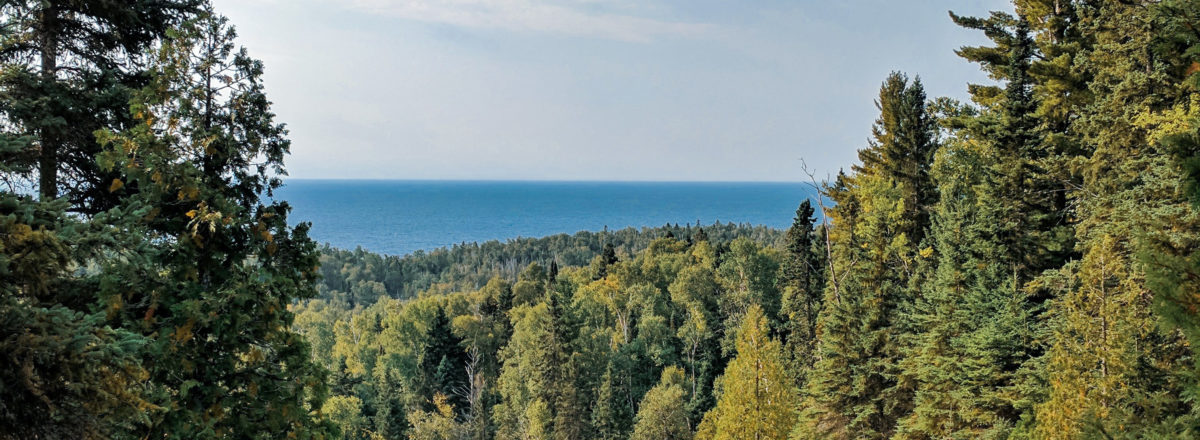 Forest and lake in the distance