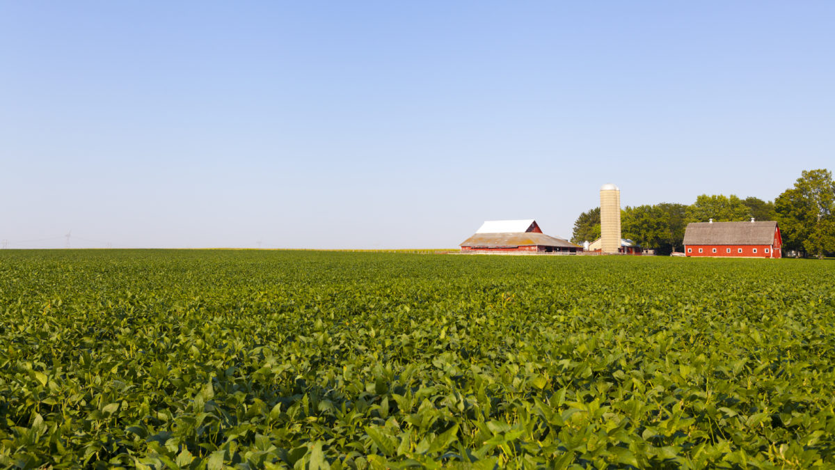 Looking across a field towards a farm