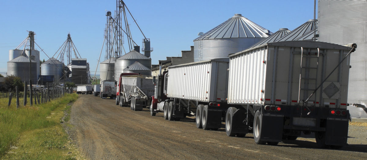 Trucks lined up at grain storage