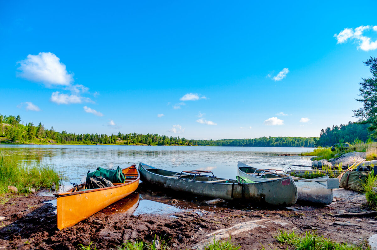 canoes on a lake with trees