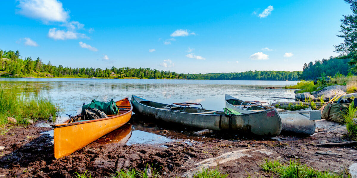 canoes on a lake with trees