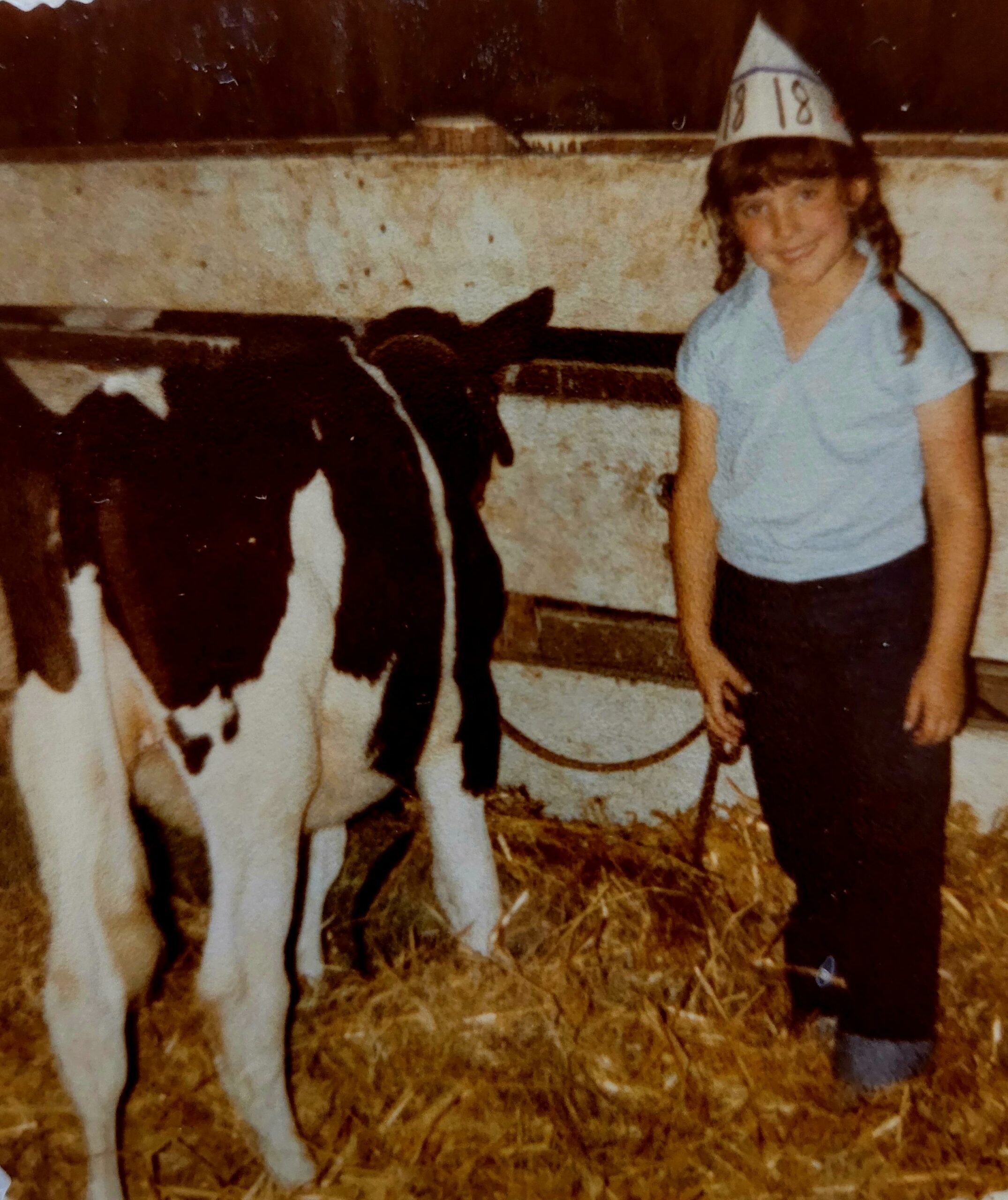 The Case for County Fairs Center for Rural Policy and Development