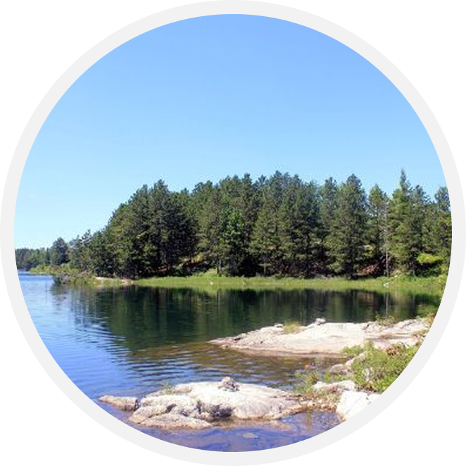 Outdoors, lake with pine trees on the shore
